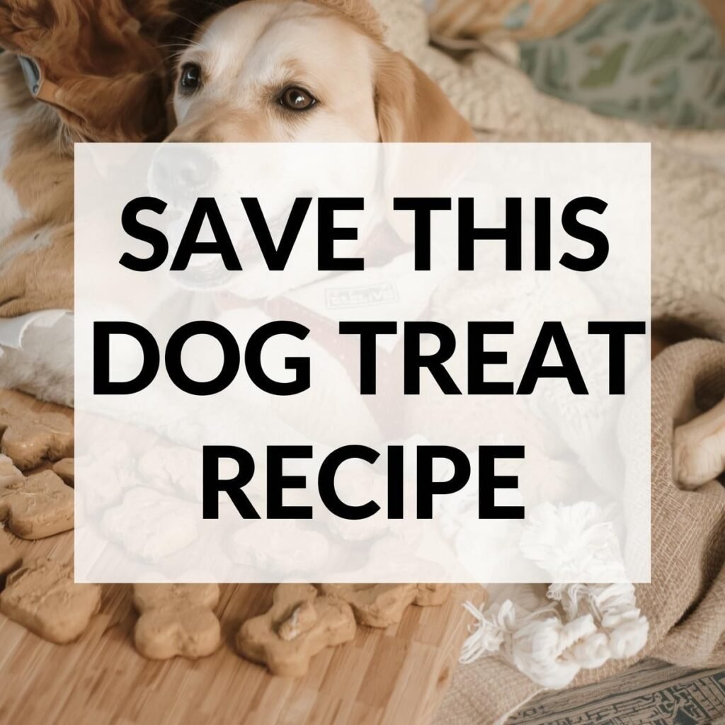 Homemade Peanut Butter Oat Dog Treats