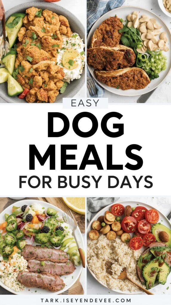 Quick Dog Meal Ideas in Under 10 Minutes