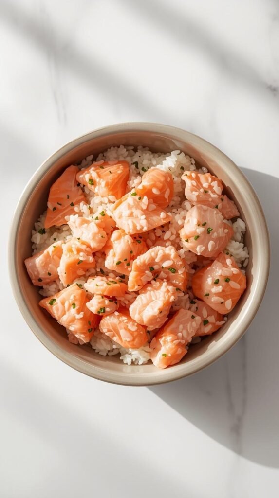 Salmon & Rice Omega Boost